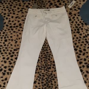 David Kahn Lara wise leg Jean trouser